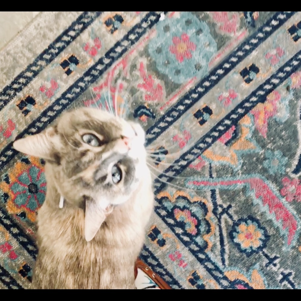 Meet your Posher, Sarah